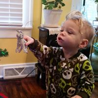 Joann Morris Photo 18