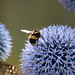 Steven Gibbs Photo 28