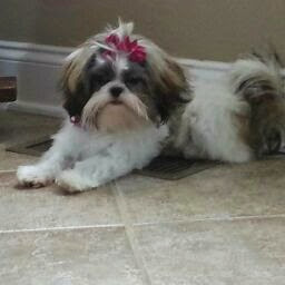 Robin Weyrens Photo 4