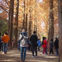 Shu Chang Photo 15