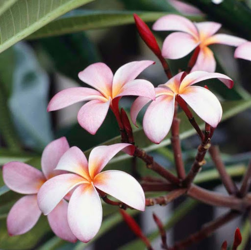 Martha Coley Photo 12