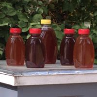 Connie Duke Photo 27