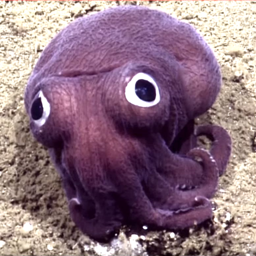 Leslie Atkinson Photo 28