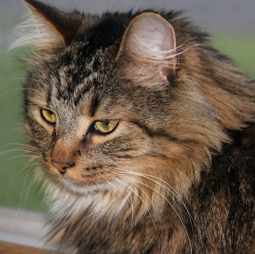 Katherine Chartier Photo 7