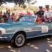 Patricia Herman Photo 12