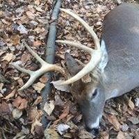 David Yoder Photo 39