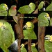 Elizabeth Hahn Photo 28