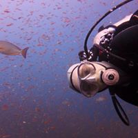 Ellie Davidson Photo 32