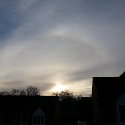 Anthony Blue Photo 16 Anthony Blue Photo 16