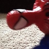 Deborah Wills Photo 17