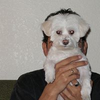 Joseph Ochoa Photo 12