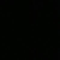 Joseph Silveri Photo 3