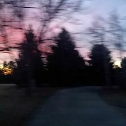 David Timm Photo 5 David Timm Photo 5