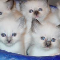 John Surber Photo 17