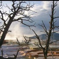 Joy Mcdaniel Photo 25