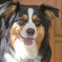 Gary Stephenson Photo 47