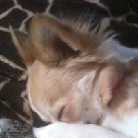 Lorraine Starr Photo 9