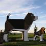 Frances Conklin Photo 3