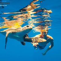 Christian Simpson Photo 32