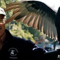 Reuben Rich Photo 13