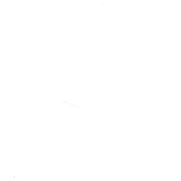 Wayne Singleton Photo 14