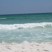 Angelia Alexander Photo 6