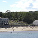 Ann Schwartz Photo 44