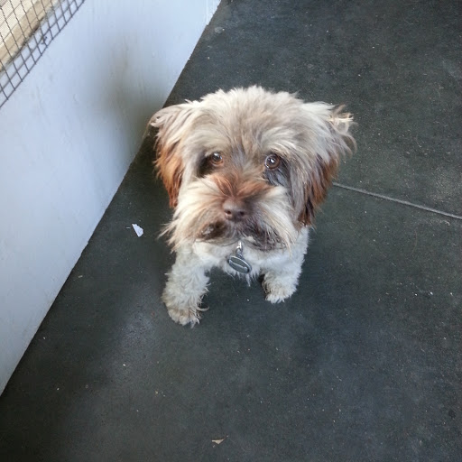 Jaden Turner Photo 5