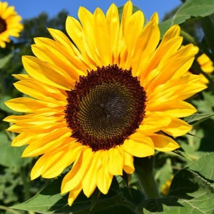 Victoria Kendall Photo 25