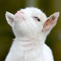 Michelle Loving Photo 3