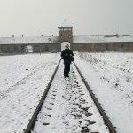 Howard Gamble Photo 17