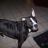 Irene Frederick Photo 6 Irene Frederick Photo 6