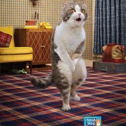 Daniel Hutton Photo 21