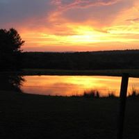 Julie Shanks Photo 11