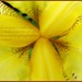 Richard Persons Photo 7