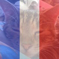 Mary Keating Photo 24