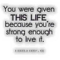 Jennifer Hamby Photo 11