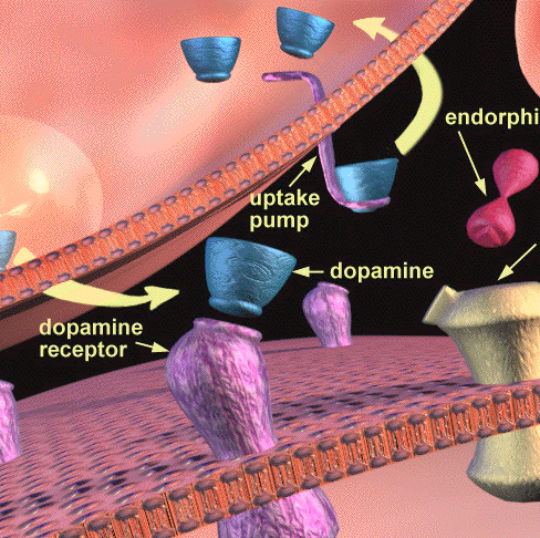 Steven Dawson Photo 55