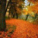 Lucy Rogers Photo 24