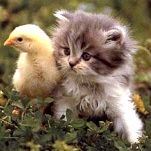 Emily Phillips Photo 9