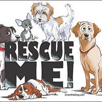 Michele Caldwell Photo 26