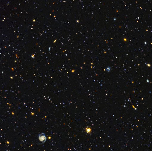 Steven Bickel Photo 5