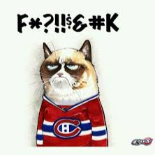 Gene Matthews Photo 18