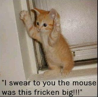 Thomas Funk Photo 37