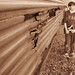Jeremy Rust Photo 13