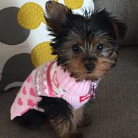 Kristin Russo Photo 13