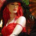 Shane Garner Photo 34