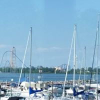 Pamela Strauss Photo 21