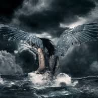 Tracy Floyd Photo 43