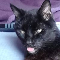 Nancy Gardiner Photo 12